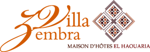villa zembra logos