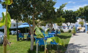 Café Sidi Ben Daoud Al Maamoura
