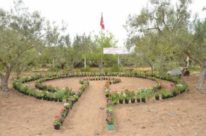 Ferme de Camping Hiba Mâamoura