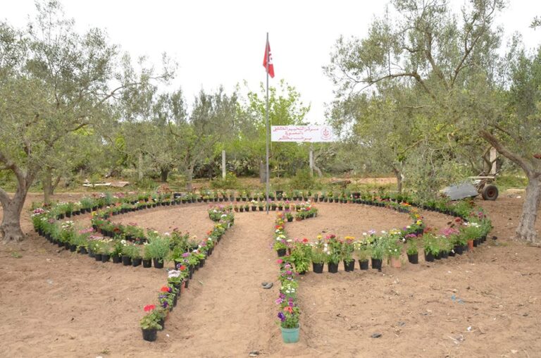 Ferme de Camping Hiba Mâamoura