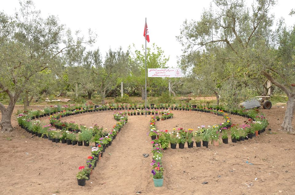 Ferme de Camping Hiba Mâamoura