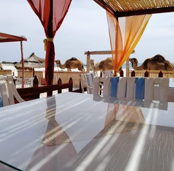 Palm beach kelibia