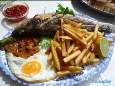 Dorade grillée + brik